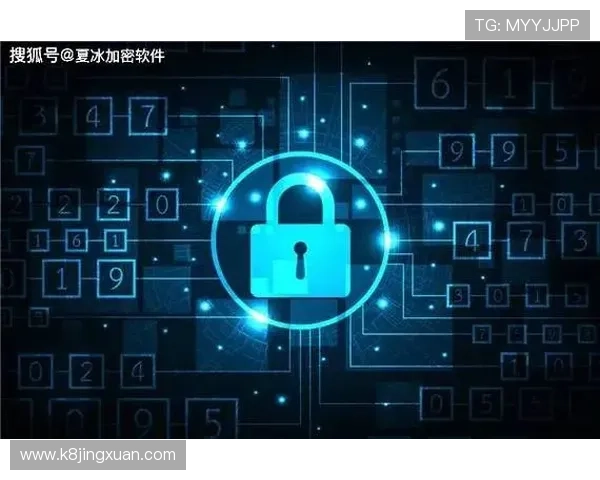 如何确保K8凯发开户过程中的信息安全与隐私保护