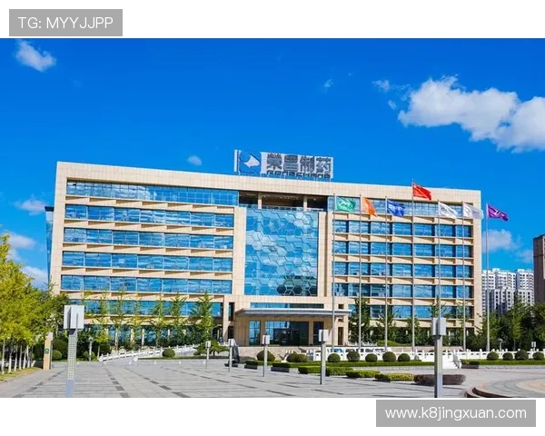 凯发国际k8官网安全保障措施详解,确保每位玩家的账号信息与资金安全无忧